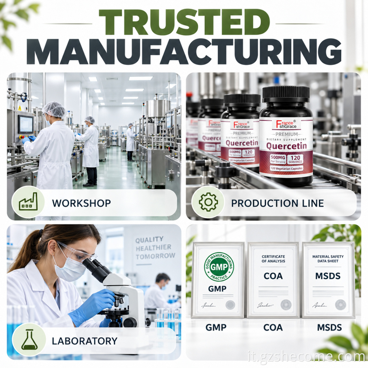 Quercetin Capsules10